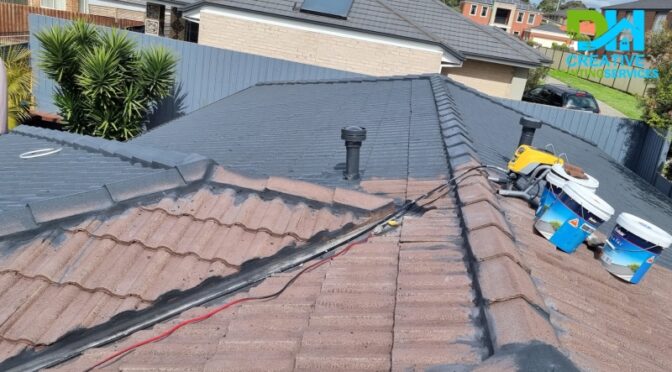 Tiled Roof Painting Service