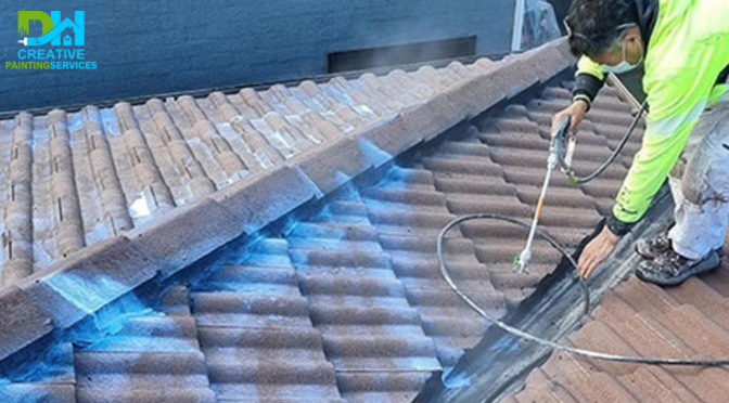 Roof Painting